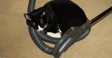 301353131_test_media_1151x595.jpg